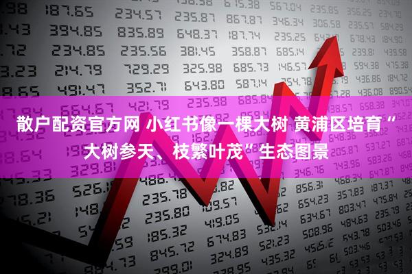 散户配资官方网 小红书像一棵大树 黄浦区培育“大树参天、枝繁叶茂”生态图景