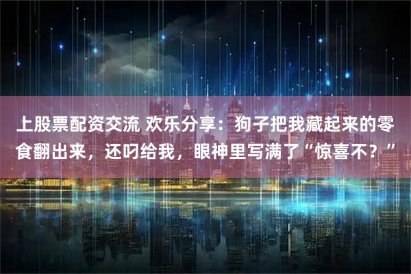 上股票配资交流 欢乐分享：狗子把我藏起来的零食翻出来，还叼给我，眼神里写满了“惊喜不？”