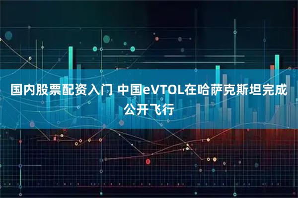 国内股票配资入门 中国eVTOL在哈萨克斯坦完成公开飞行